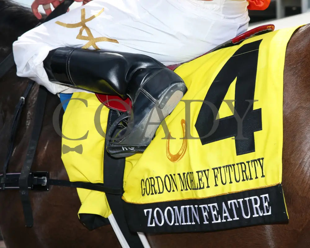 Zoomin Feature - Gordon Mobley Futurity Final 11Th Running 07-20-24 R07 Horseshoe Indiana Saddle