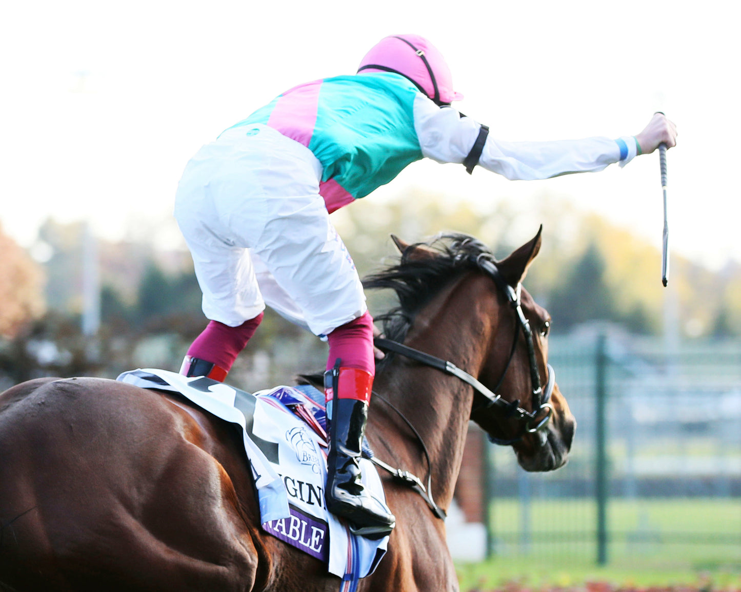 ENABLE - Longines Breeders' Cup Turf G1 - 11-03-18 - R10 - CD - Finish 05