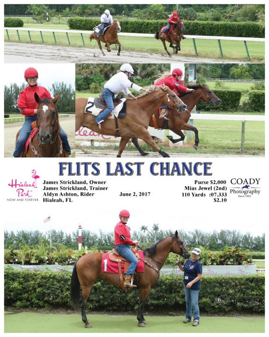FLITS LAST CHANCE - 060217 - Race 06 - HIA