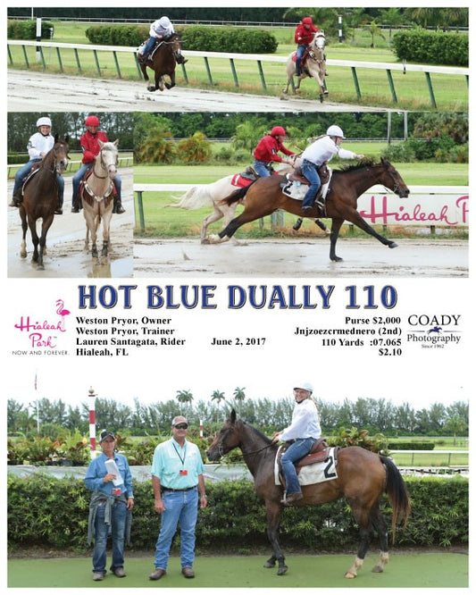 HOT BLUE DUALLY 110 - 060217 - Race 02 - HIA
