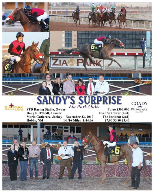 SANDY'S SURPRISE - 112217 - Race 10 - ZIA