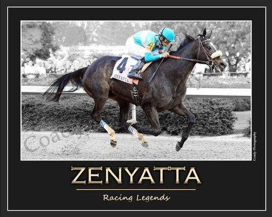 Zenyatta - Racing Legends Series