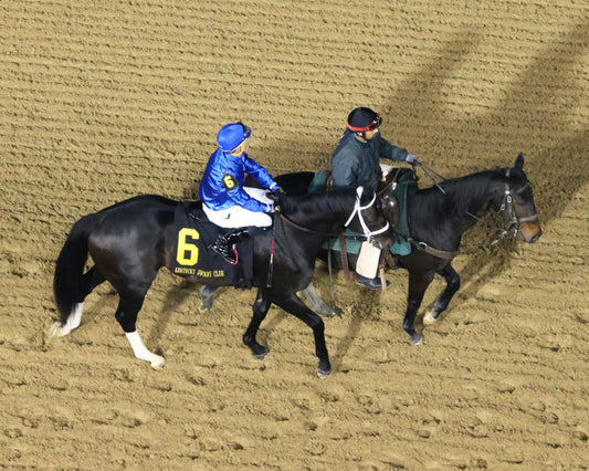 ENTICED - 112517 - Race 11 - CD - Post Parade 1