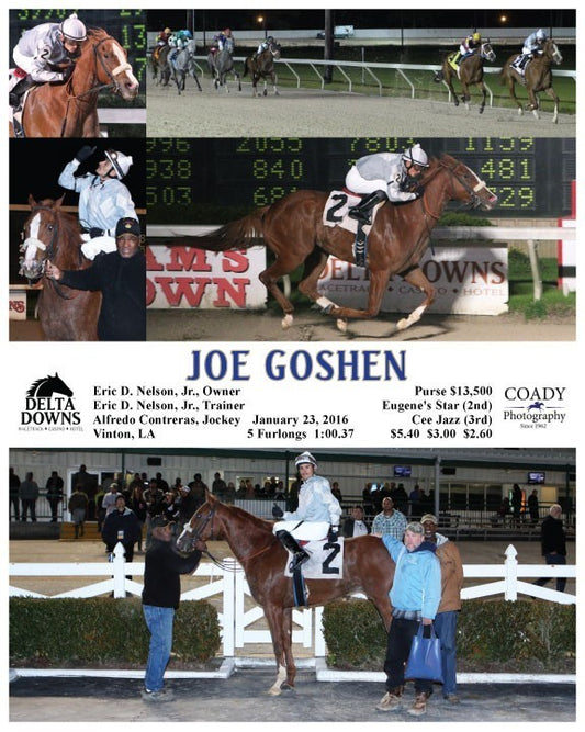 JOE GOSHEN - 012316 - Race 05 - DED