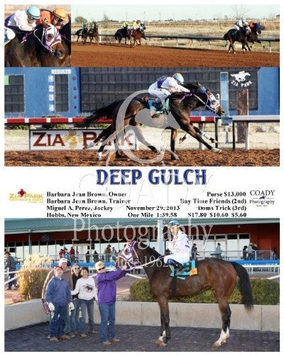 Deep Gulch - 112913 - Race 10 - ZIA