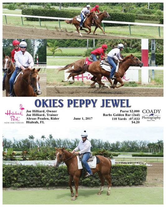 OKIES PEPPY JEWEL - 060117 - Race 10 - HIA