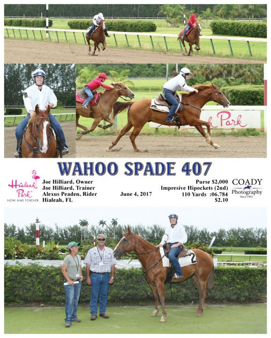 WAHOO SPADE 407 - 060417 - Race 13 - HIA
