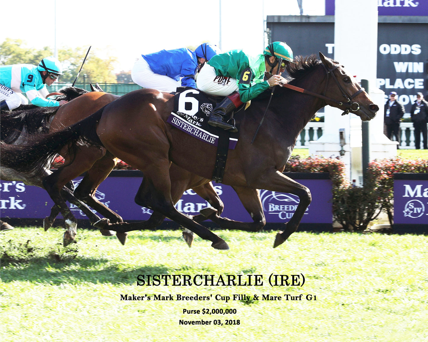 SISTERCHARLIE (IRE) - Maker's Mark Breeders' Cup Filly & Mare Turf G1 - 11-03-18 - R06 - CD - Finish 01 W Ident