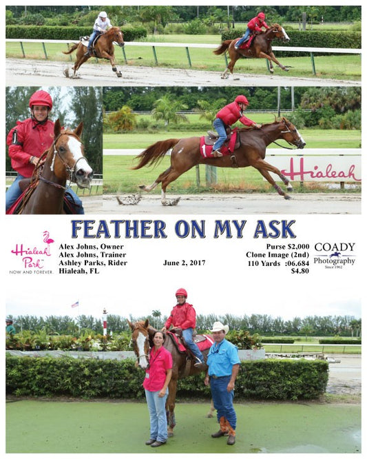 FEATHER ON MY ASK - 060217 - Race 03 - HIA