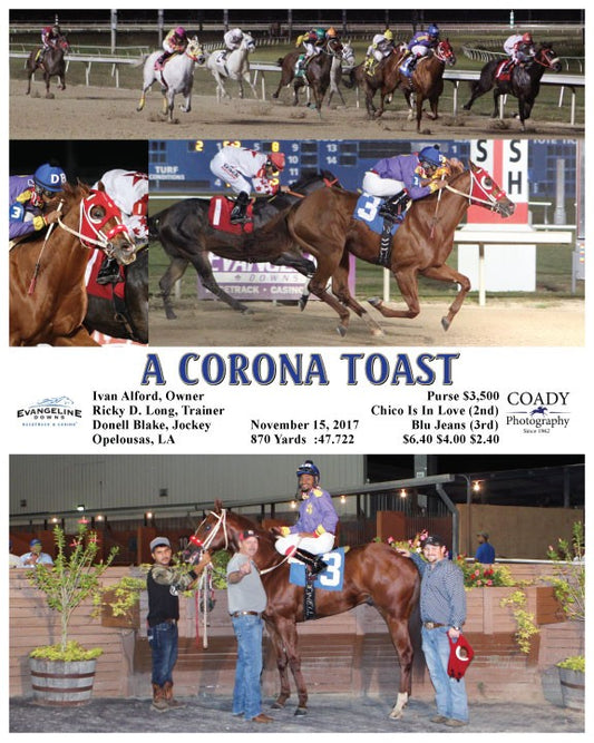 A CORONA TOAST  - 110417 - Race 02 - EVD