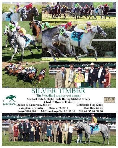 SILVER TIMBER - The Woodford