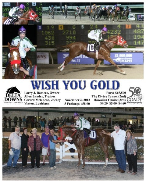 WISH YOU GOLD - 110212 - Race 07 - DED