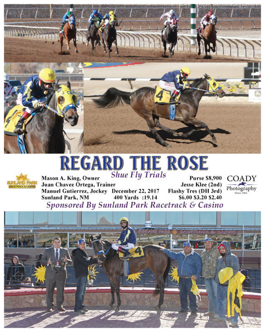 REGARD THE ROSE - 122217 - Race 03 - SUN