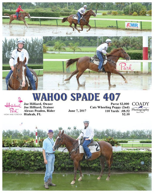 WAHOO SPADE 407 - 060717 - Race 04 - HIA