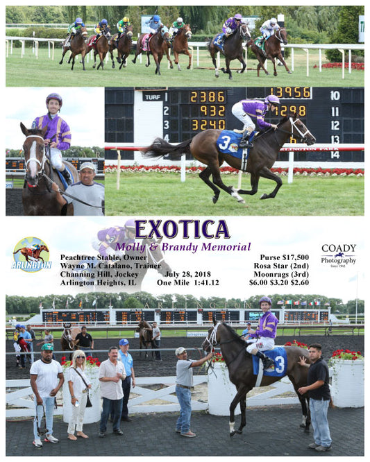 EXOTICA - 072818 - Race 04 - AP