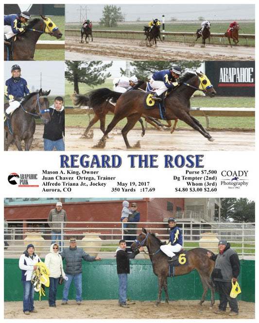 REGARD THE ROSE - 051917 - Race 03 - ARP