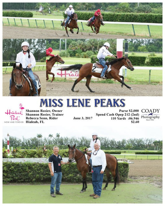 MISS LENE PEAKS - 060317 - Race 10 - HIA