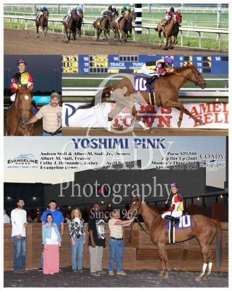 Yoshimi Pink - 040914 - Race 05 - EVD