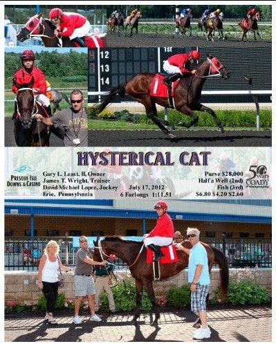 HYSTERICAL CAT - 071712 - Race 01