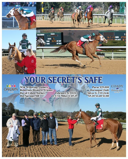 YOUR SECRET'S SAFE - 020818 - Race 05 - OP