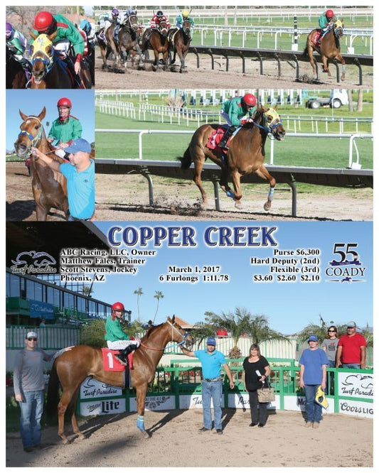 COPPER CREEK - 030117 - Race 08 - TUP