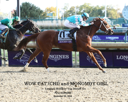 Wow Cat and MONOMOY GIRL - Longines Breeders' Cup Distaff G1 - 11-03-18 - R09 - CD - Finish 01 W Ident
