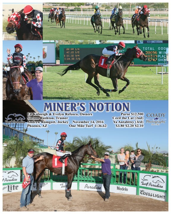 MINER'S NOTION - 111416 - Race 06 - TUP