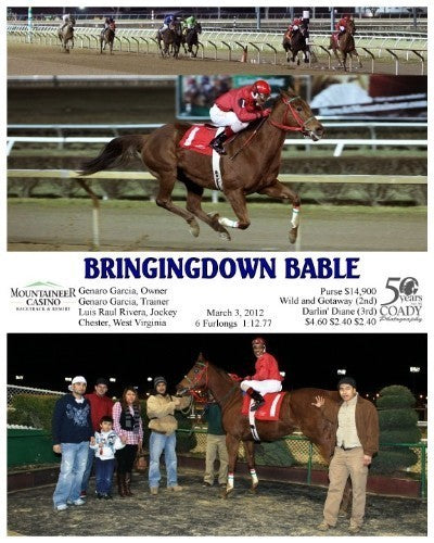 BRINGINGDOWN BABLE - 030312 - Race 08
