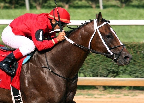 TAPIZAR - Tight Finish - The West Virginia Governo