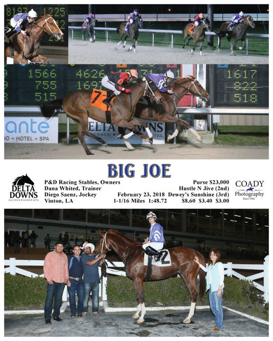BIG JOE - 022318 - Race 05 - DED