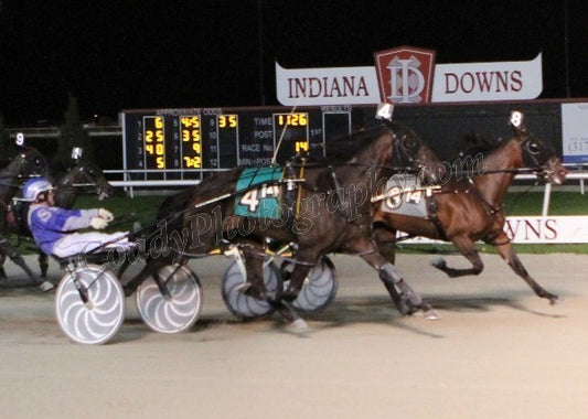 She’s Shocking - Indiana Sires Stakes Silver Level