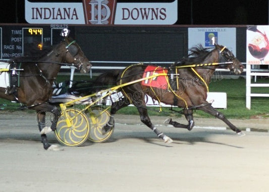 Foiled Again  -  The Indiana Pacing Derby