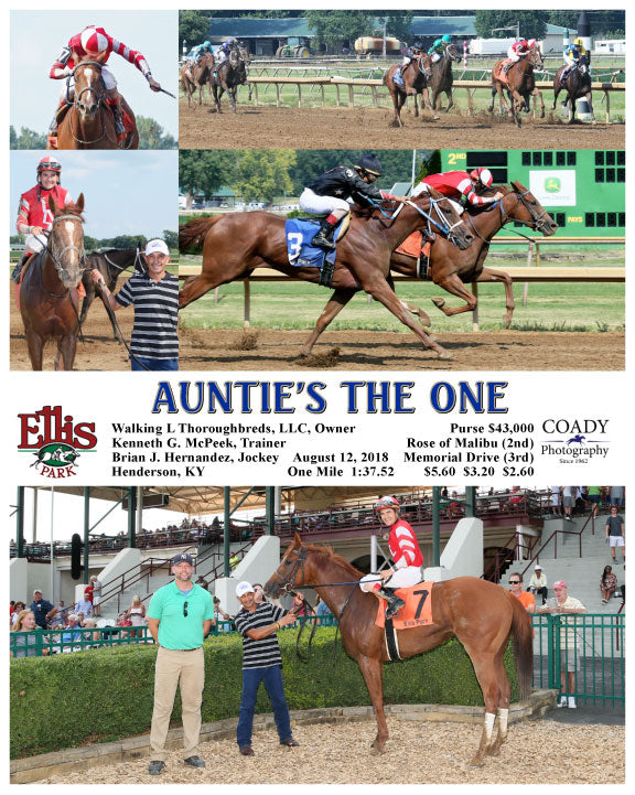 AUNTIE'S THE ONE - 081218 - Race 07 - ELP