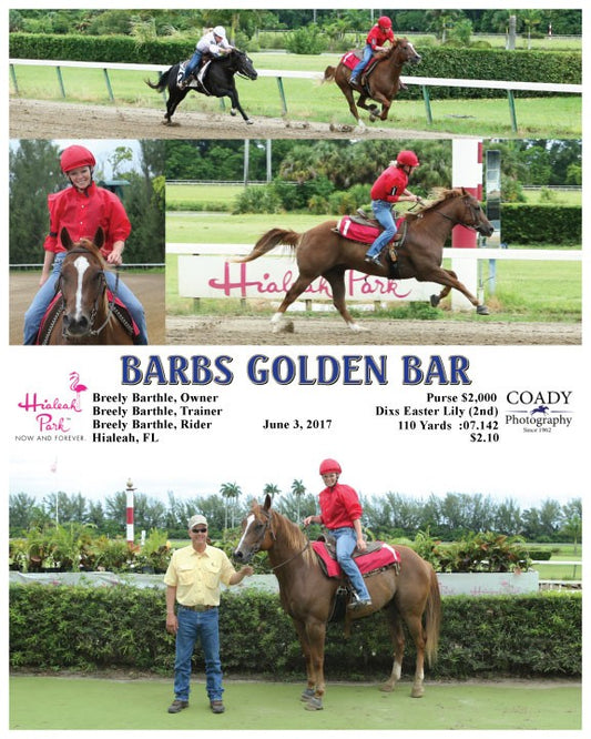 BARBS GOLDEN BAR - 060317 - Race 05 - HIA