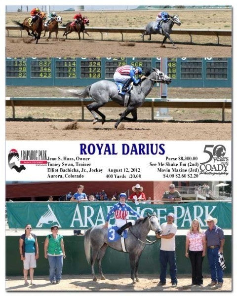 Royal Darius - 081212 - Race 03