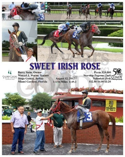 SWEET IRISH ROSE - 081212 - Race 05