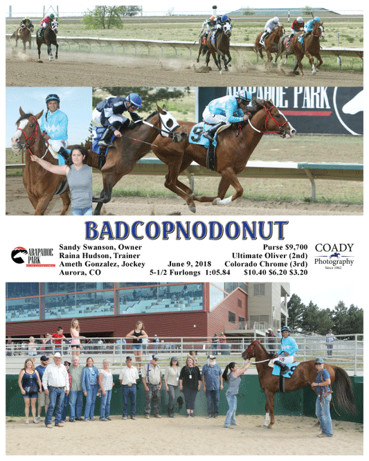BADCOPNODONUT - 060918 - Race 09 - ARP