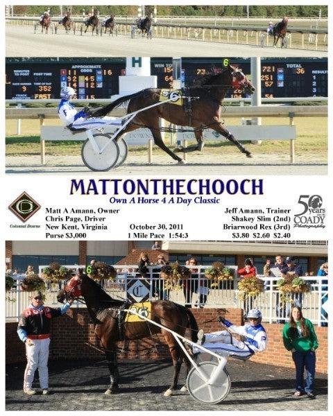 MATTONTHECHOOCH_Own A Horse 4 A Day Classic_10-30-