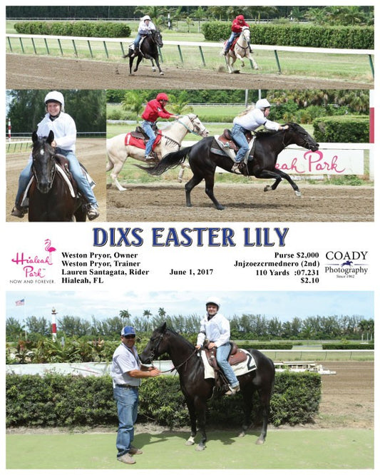 DIXS EASTER LILY - 060117 - Race 11 - HIA