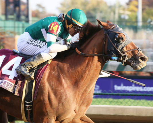 ACCELERATE - Breeders' Cup Classic G1 - 11-03-18 - R11 - CD - Finish 03