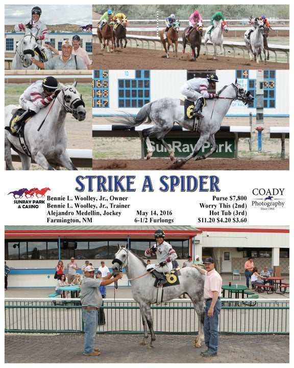 STRIKE A SPIDER - 051416 - Race 04 - SRP