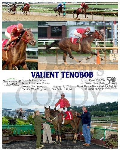 VALIENT TENOBOB - 081112 - Race 03