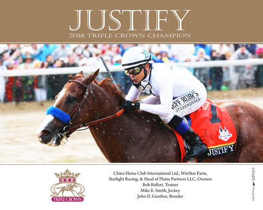 JUSTIFY - Triple Crown Champion - WinStar