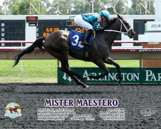 MISTER MAESTERO - 080418 - Race 02 - AP - A