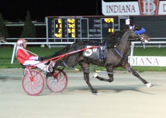 River Sport  -  Indiana Sires Stakes Gold Level