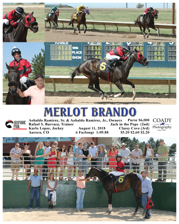 MERLOT BRANDO - 081118 - Race 05 - ARP