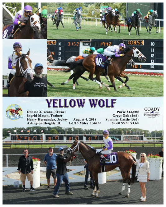 YELLOW WOLF - 080418 - Race 07 - AP