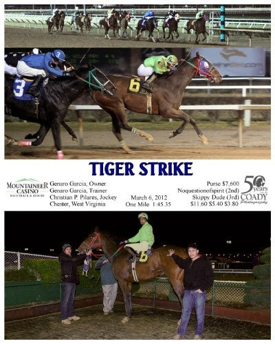 TIGER STRIKE - 030612 - Race 10