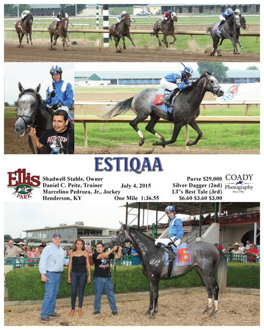 Estiqaa - 070415 - Race 09 - ELP