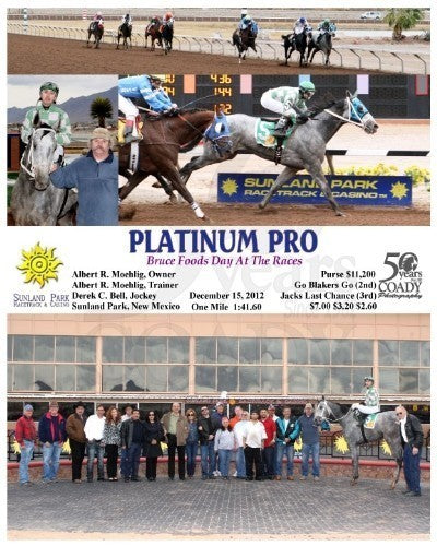 Platinum Pro - 121512 - Race 07 - SUN